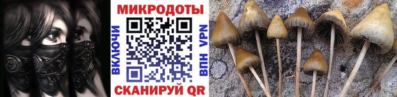 Псилоцибиновые грибы GOLDEN TEACHER  продажа наркотиков  Нерюнгри 