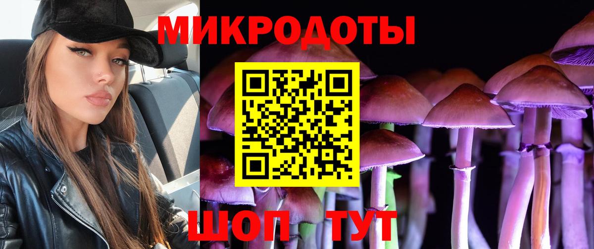 Галлюциногенные грибы Psilocybine cubensis  Вход с VPN  где можно купить   Нерюнгри  Галлюциногенные грибы Magic Shrooms 