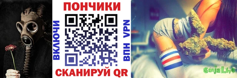 Бошки марихуана THC 21%  Нерюнгри 